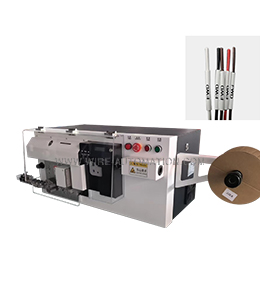 Automatic computer300mm&sup2; stripping machine